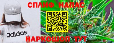 гашик Беслан