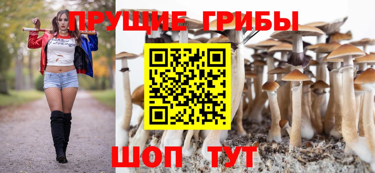 Калуга  Псилоцибиновые грибы Cubensis  Вход с VPN 